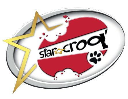 Logo de l'entreprise Starcroq au format PNG sans fond noir