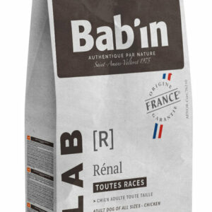 Renale Chien