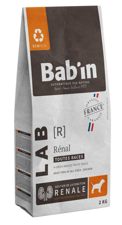 Renale Chien
